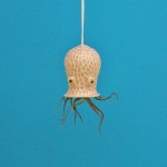 Ceramic Cephalopod and Jellyfish Air Plant Holders-3