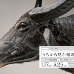 Composition of Mammal’s Posters6