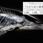 Composition of Mammal’s Posters7