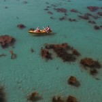 DJIphantom-3