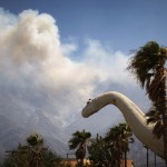 DavidMcNew-Reuters