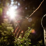 Dreamlike Photography1