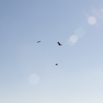 Dreamlike Photography3