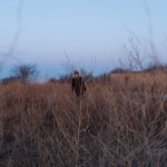 Dreamlike Photography4