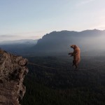Imaginative Photo Manipulations_0