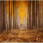 Landscape Photography by Joe Azure_3