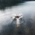 Lifestyle Photography by Magdalena Wosinska_13
