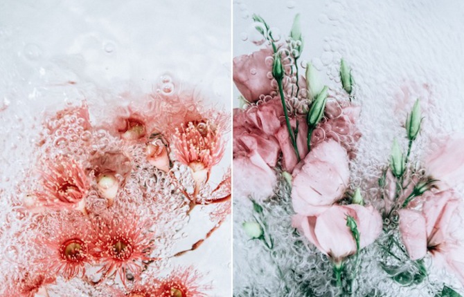 Floral Bouquets Floating in Bubbling Water