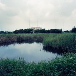Nature and City Photography by Alex Cretey-14