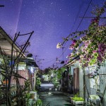 Back Alley Back Alley