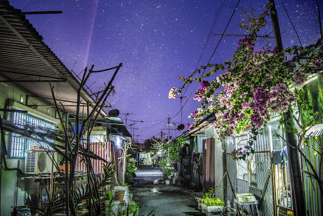 Back Alley