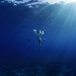 The Underwater Wedding Portraits_7