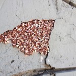 Urban Geodes on the Streets of L.A1