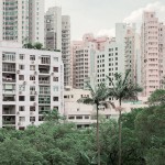 Urban Jungle