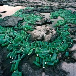 Washed Up Trash Installations2
