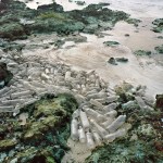 Washed Up Trash Installations5