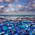 Washed Up Trash Installations6