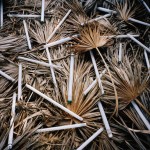 Washed Up Trash Installations7