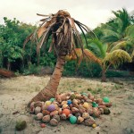 Washed Up Trash Installations8