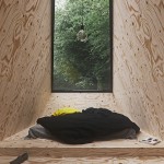 cabin_wood_c9_s