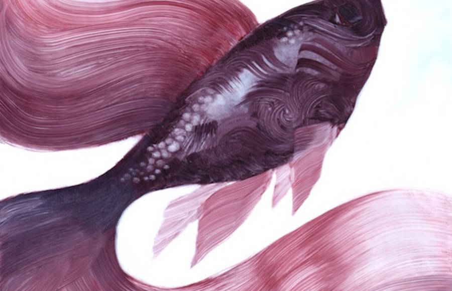 Animals Paintings with Brushstrokes