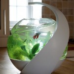 fishtank1