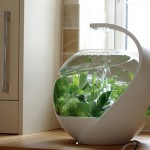 fishtank3