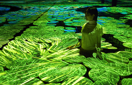 Interactive Mapping Installation of Rice Fields