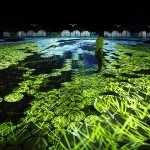 harmony-teamlab3