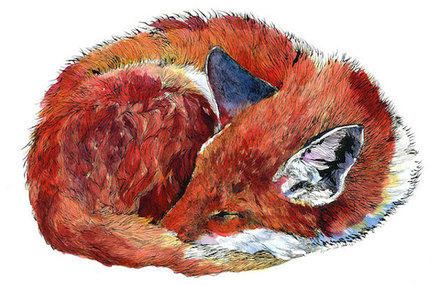 Watercolor Portraits of Animals in the Woods