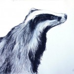 janiestapleton-7