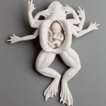 kate-macdowell_04