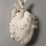 kate-macdowell_07