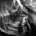 laurentbaheux-14