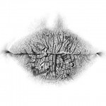lips-02