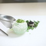 livinstudio-5