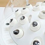 livinstudio-7