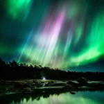 mikko-5
