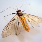 nintendoinsects-2