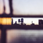 nyacrossthewindows-4