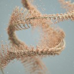 rawandrendered-13