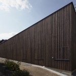 roote-4