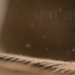 spikejonze-11