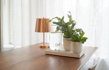 Tableau : Automatic House Plant Watering Tray