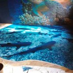 3dfloor3