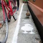 DuckLanes1