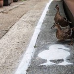 DuckLanes2