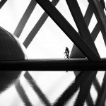 The cyclist