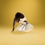 dogcones3