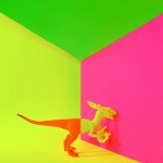 dollarstore-13